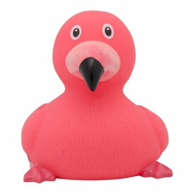 Rubber Duck, Flamingo