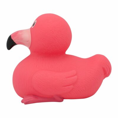 Rubber Duck, Flamingo