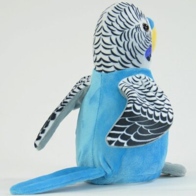 Repeating Animal, Budgerigar Caruso