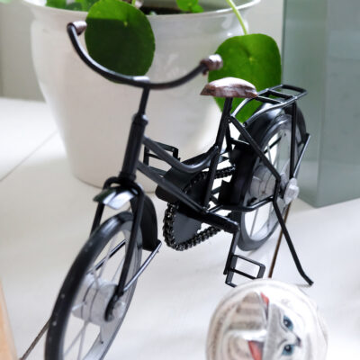 Lady Bike Black