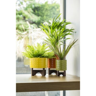 Ceramic Plant Pot With Wooden Stand