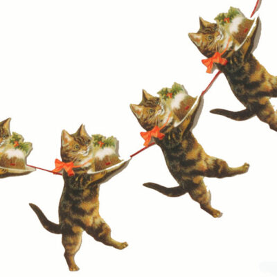 Kattgirland 3m