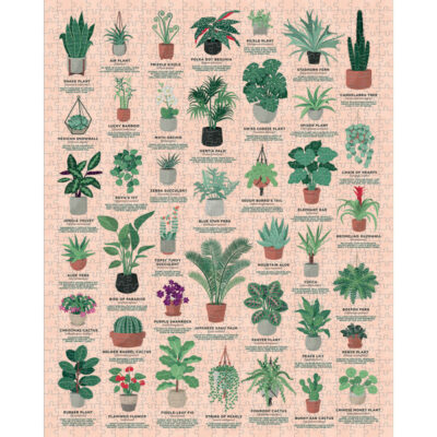 Pussel House Plants