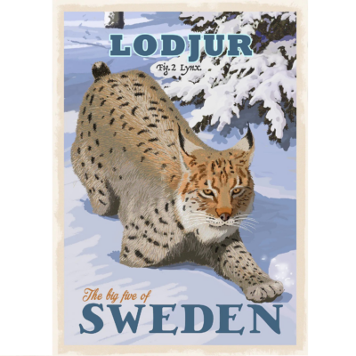 Poster Lodjur