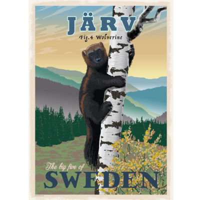 Poster Järv